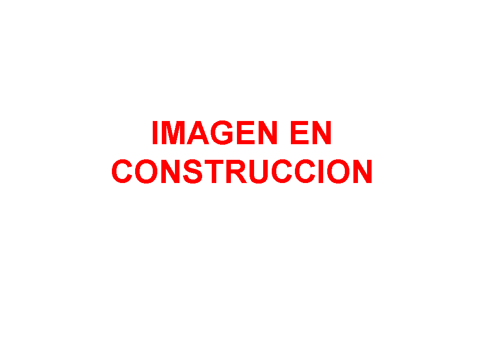 presentacion.gif